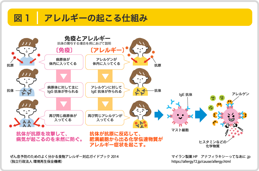酵母アレルギーの治療